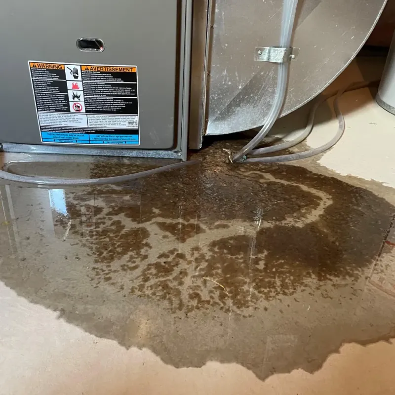 Appliance Leak Cleanup in Las Vegas, NV